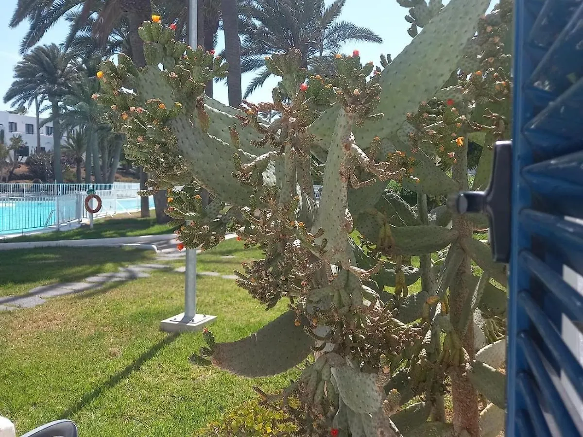Apartment Los Barqueros 9 By Best Holidays Fuerteventura Corralejo Spain
